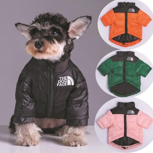 Acting cute Clothes And Footwear For Dogs