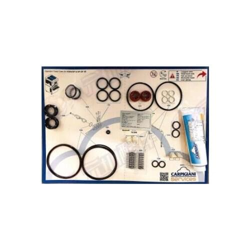 CARPIGIANI IC193014363 KIT K503/SP 6 MONTHS