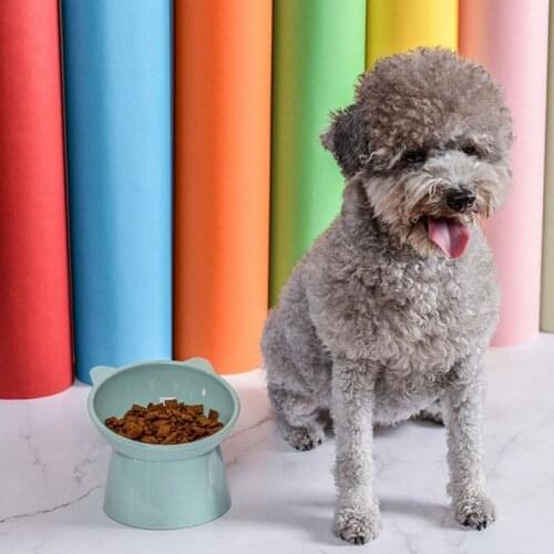 Cat Food Bowls, Elevated Cat Bowls For Cats and Small Dogs, Tilted Pet Feeding Bowls, With Raised Brackets To Protect The Cats