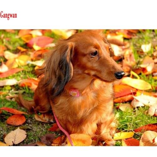 5d diamond painting mosaic Animal dachshund dog full square round diamond embroidery Cross stitch pictures rhinestone wall decor