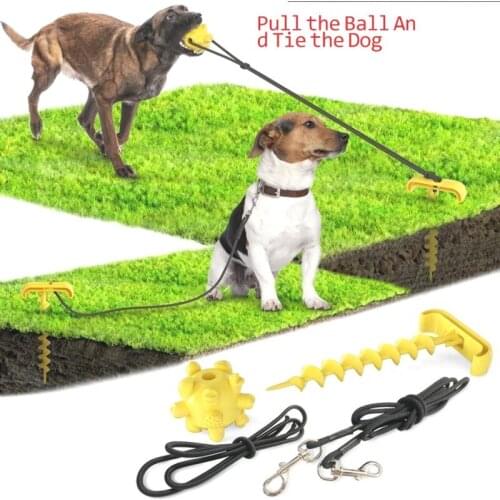 Outdoor Dog Toy Pet Supplies New Products Of Pet Products Hot Selling Dog Tying Pile Ground Nail Dog Walking Pet Sucker Dog Toys