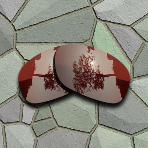 Bronze Brown Sunglasses Polarized Replacement Lenses for Oakley Ten