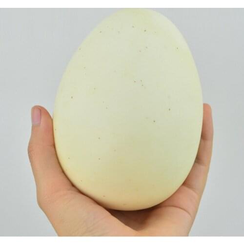 Kids children toys photography props hotel restaurant decoration artificial food fake simulation dinosaur ostrich eggs model