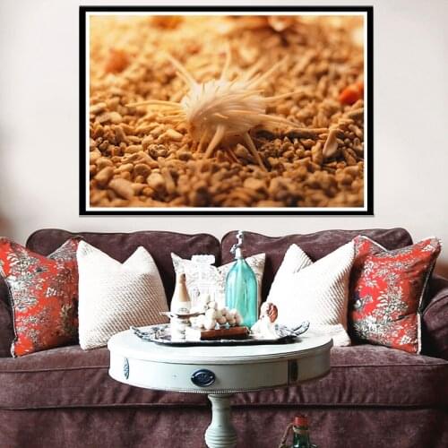 Nordic Print Home Decor Painting sea shell seaside Picture Wall Art Modular Watercolor Poster Modern For Bedside Background