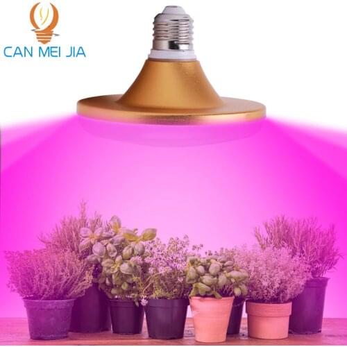 CANMEIJIA LED Plant Lamps