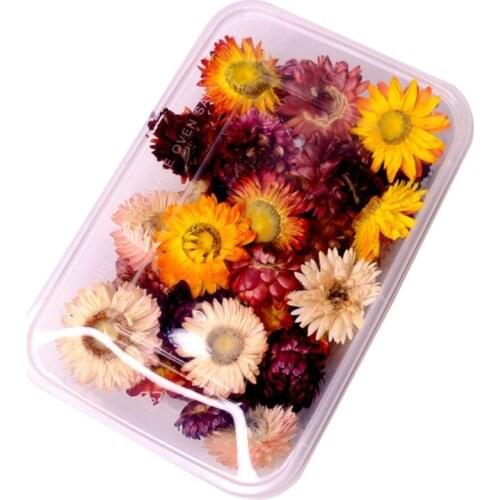 1Box Crystal Epoxy Filler Dry Flower Mixed Nail Stickers Decorations Resin Filling Material Crafts Art Accessories