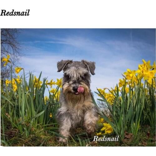 Square Diamond painting Schnauzer Dogs DIY Diamond mosaic animal dog Full Round Diamond embroidery sale 5D Cross stitch EE297