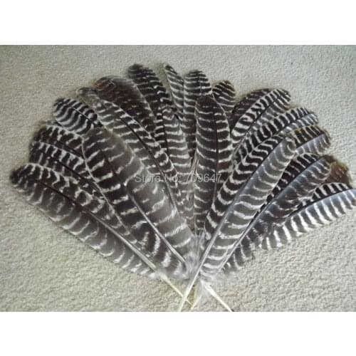 20Pcs/Lot!25-35cm Long Turkey Wing feather quills, natural brown barred feather,real feather for millinery, DIY crafts, decor