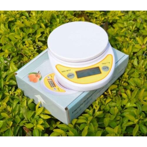 Double Range LCD Digital Electronic Kitchen Scale 5kg/1g And 1kg/0.1g Precision Food Balance Weighing Scales WH-B04 Hot Selling
