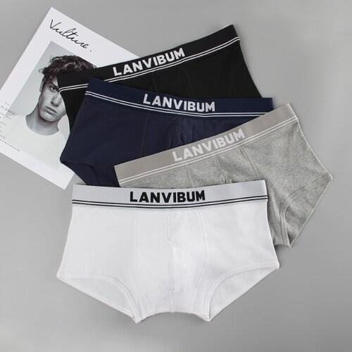 4PCS/Lots Men Underwear Cotton Seamless Boxer Shorts Slip Homme Boxershort Trunks Plus Size Homewear Swimwear Male Panties 2XL