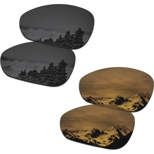 SmartVLT 2 Pairs Polarized Sunglasses Replacement Lenses for Oakley Crosshair 1.0 (2005) Stealth Black and Bronze Gold
