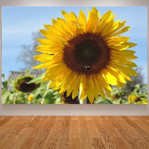 No Frame Sunflower Field Landscape Oil Painting On Canvas Bedroom Decor Modern Wall Art Living Room Picture Home Decoration