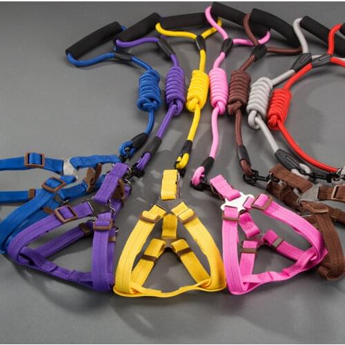 Durable Dog Harness 11 Color Nylon Basic Leashes Medium large Dogs Collar Leashes Lead Rope For Labrador Rottweiler