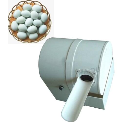 2300pcs/h egg washer machine for sale/double row duck egg washing machine/goose egg cleaning machine
