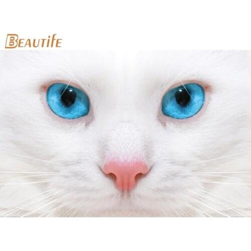 Custom White Cat Poster Cloth Silk Poster Home Decoration Wall Art Fabric Poster Print 30X45cm,40X60cm.50X75cm,60X90cm