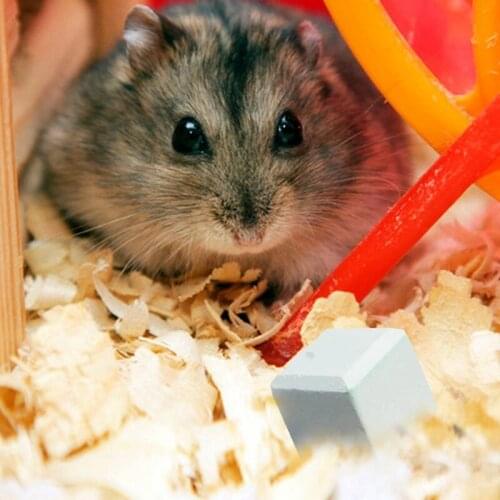 Natural Mineral Teeth Stone Guinea Pig Hamster Rabbit Teeth Grinding Stone Small Pet Dental Care Chew Toys Pets Supplies