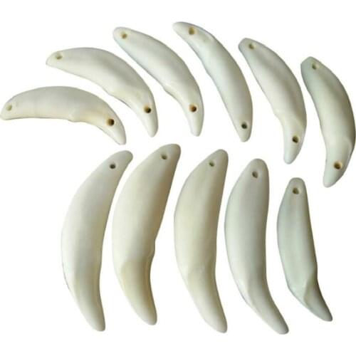 JINSE Tibetan Wild Dog Teeth Natural Fangs Wolf Tooth Amulet Charm Pendants Hot Selling Jewelry Accessory Wholesale 100pcs GY01