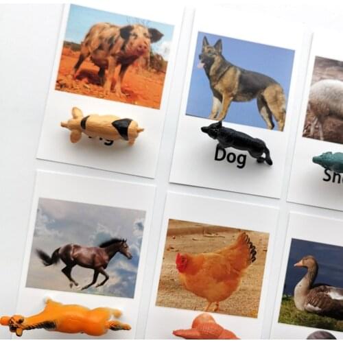 Montessori Toys Baby Animal Match Cards Montessori Learning Language Early Childhood Education Preschool Toy for Children A1366F