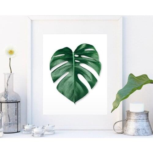 Palm Leaf Botanical Wall Art Poster Print , Tropical Monstera Deliciosa Leaf Art Painting Scandinavian Wall Picture Home Decor