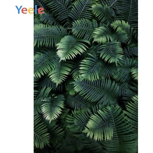 Green Palm Trees Leaves Summer Holiday Party Photography Vinyl Backdrops Personalized Photographic Background For Photo Studio