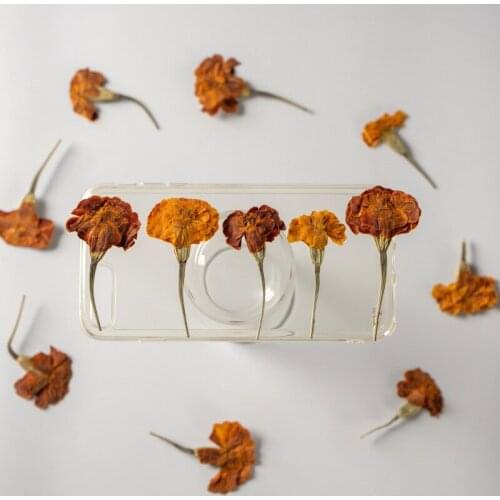 60pcs Pressed Dried Flower Tagetes erecta L Herbarium For Epoxy Resin Face Make UP Nail Art Jewelry Bookmark Phone Case Card DIY