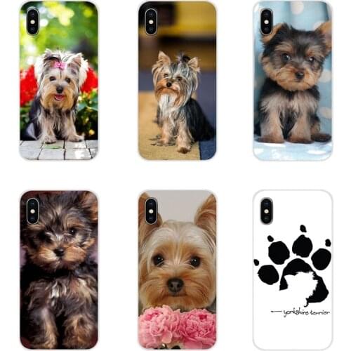 Accessories Phone Case Cover For Samsung A10 A30 A40 A50 A60 A70 Galaxy S2 Note 2 3 Grand Core Prime Yorkshire Terrier Puppy Dog