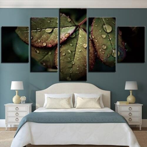 5 Pieces Green Leaves and Rain Weather Canvas Wall Art Pictures Plants Posters Water Drops Painting Wallpapers Home Decor