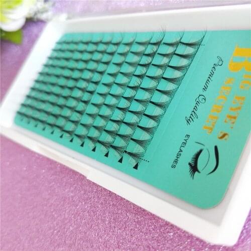 Premade 10D Lashes handmade Volume Lash Fans 10d Volume Fans Semi Permanent Individual Eyelash Extensions free shipping