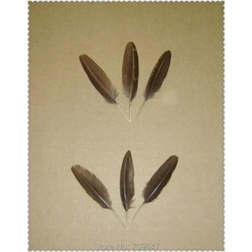 Small Feathers !50Pcs/Lot!5-6cm Unique Nature Golden Pheasant Small Quill Feathers,Small Golden Wing Feathers,Pheasant Feathers