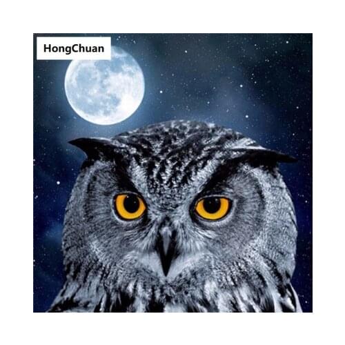 New Owl Diamond Painting DIY Diamond Inlaid Handmade 5D Diamond Embroidered Cross Stitch Kit Home Decoration Christmas