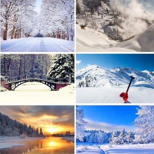 SHENGYONGBAO Vinyl Custom Photography Backdrops Prop Winter landscape Theme Photography Background 200309HD-03