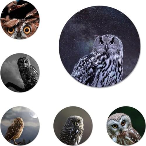Animal Owl Brooch Pin Cosplay Badge Accessories For Clothes Backpack Decoration Gift