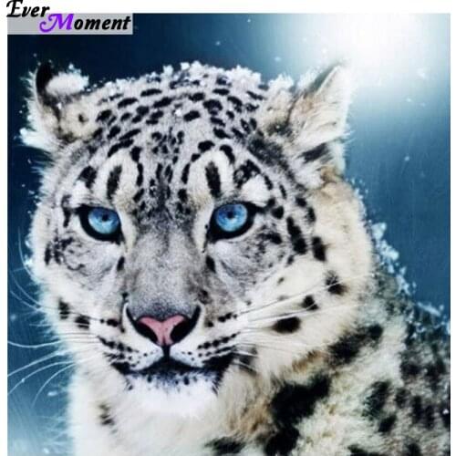 5D diamond painting mosaic handmade animal cross stitch crystal square sets decorative Diamond embroidery snow leopard ASF437