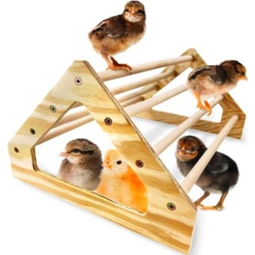 1pcs Bird Parrot Hens Chicken Cages Accessories Wood Habitat Stand Sticks for Chicken Chick Stand Trainning Habitat Toy