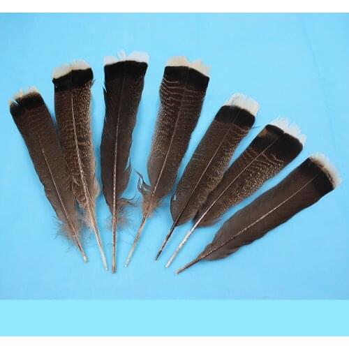 Wholesale perfect 100 PCS high quality natural eagle feathers 25 to 30 centimeters - 11 inches