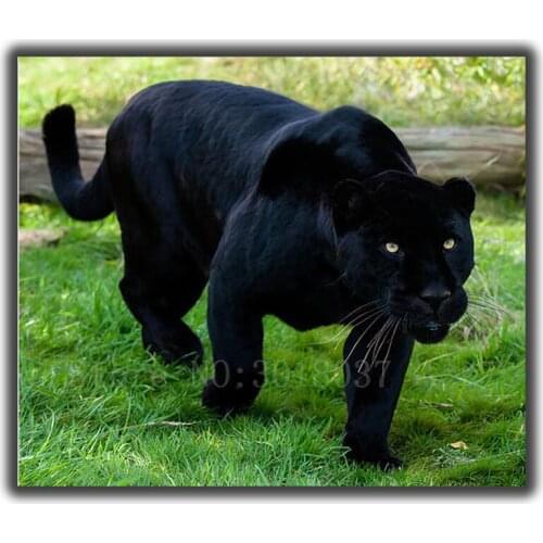 Diamond Mosaic Diy Diamond Embroidery Black Panther On The Grass Full Diamond Painting Cross Stitch Rhinestone Home Decorations