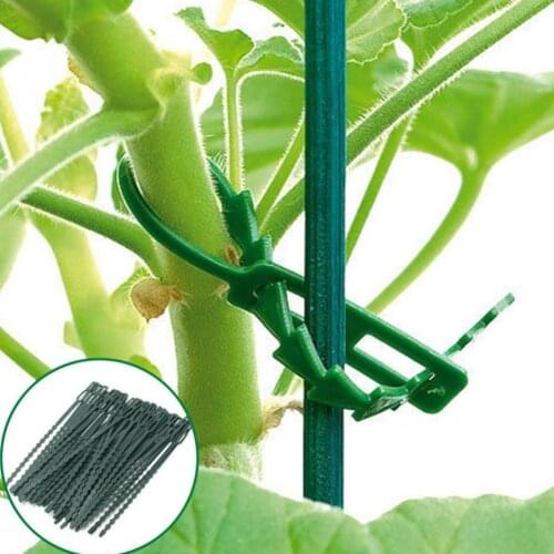 50pcs reusable fish bone banding garden cable ties Support Shrubs Fastener Tree Locking adjustable plastic cable ties tools