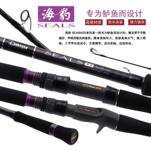 DSNY seabass rod 3.2m/3.6m fishing rod all fuji guides and reels in japan spin rod/casting rod boat rod Shore jigging rod