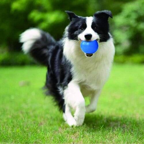 Super Toughness Pet Molar Bite Resistant Training Chew Toy Non-toxic Solid Natural Rubber Bouncing Ball