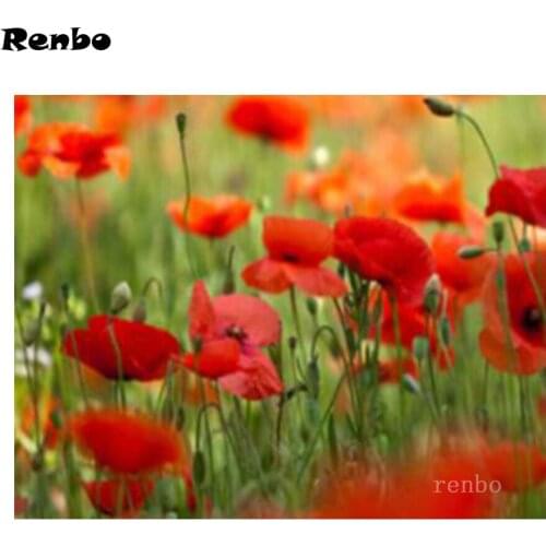 Diamond Painting Poppy Red Flower Full Square Round Diamond Embroidery Cross Stitch Kit 5D Mosaic Rhinestone Home Decorations
