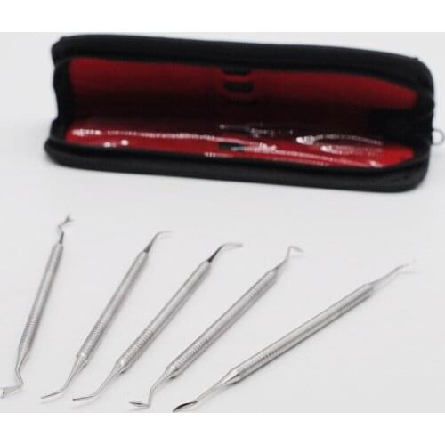 5/Pcs Dental Teeth Pick Pic Probe Set Kit Stainless Steel Dentist Hygiene Explorer Probe Hook Pick Dental Tools