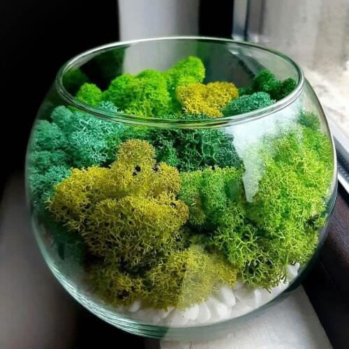 Real Touch DIY Artificial Moss Wall Dried Natural Moss Decorative Moss for Decor Wall Office Home Shop Window Decoration