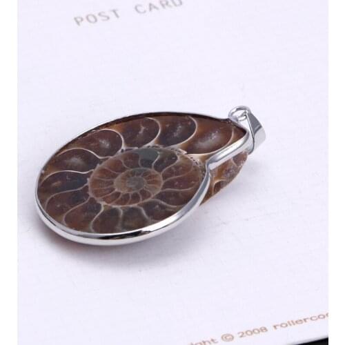 Natural Stone Ammonite Fossils Seashell Snail Pendants Loose Gemstone Beads DIY LX9E