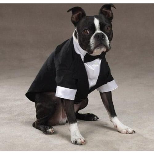 Pet Dog Suit Tuxedo Wedding Dress Coat Boy Dog Clothes Party Pet Clothing Pomeranian Schnauzer Pug French Bulldog Clothes Outfit