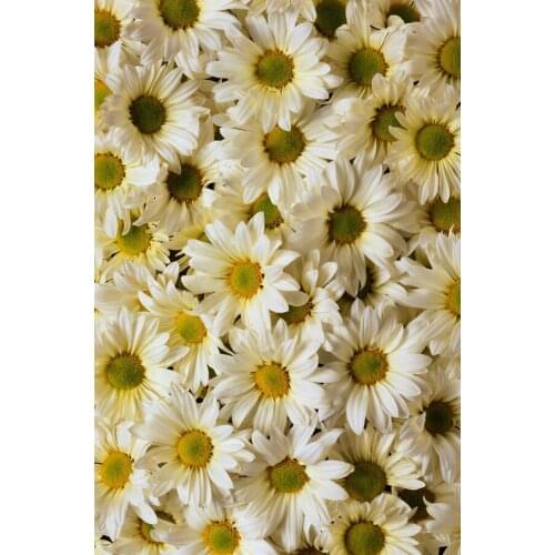 LIFE MAGIC BOX White Flowers Cluster 150x200cm Custom Photo Backdrops Event Backdrop flower backdrop S-961