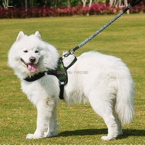 Rewin Climbing And Mountaineering Products