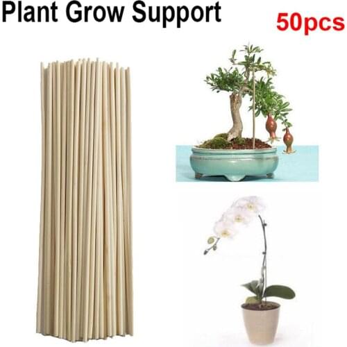 50pcs Wooden Plant Grow Support Bamboo Plant Sticks for Flower Stick Cane stands garden bonsai tool