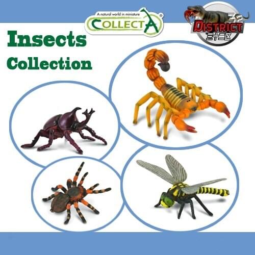 High Simulation Insect Model Early Childhood Education toys red bird scorpion beetle dragonfly 1PCS