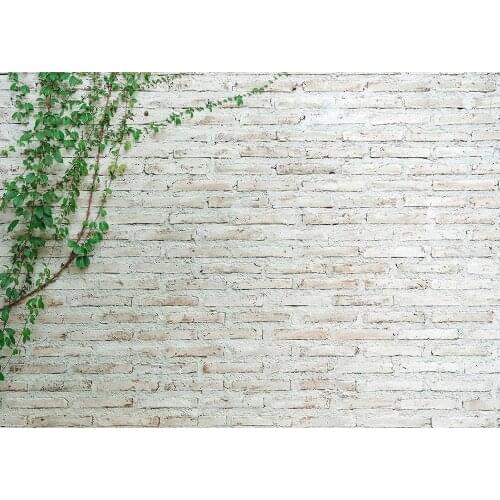 Photo Background White Brick Wall Green Leaves Custom Backdrops for Children Baby Toy Pets Portrait Photoshoot Photography Props