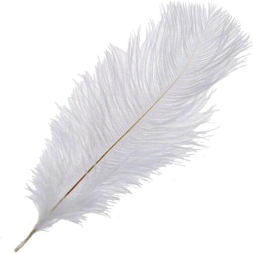 10 Pieces White Natural Ostrich Feather 20-25cm Wedding DIY